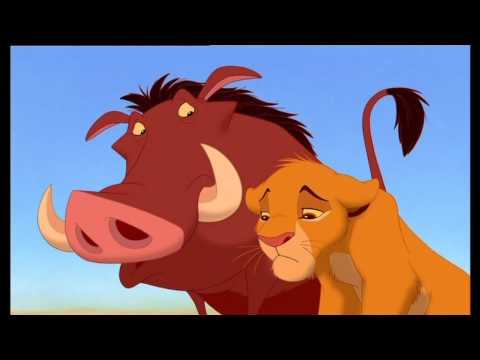 Top of the food chain