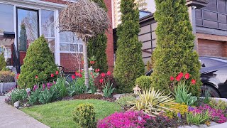 A Tiny Garden Space | Front Yard Garden Tour