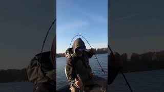 Magnum Lake Lanier Spotted Bass Eats Jig shorts lakelanierfishing2023