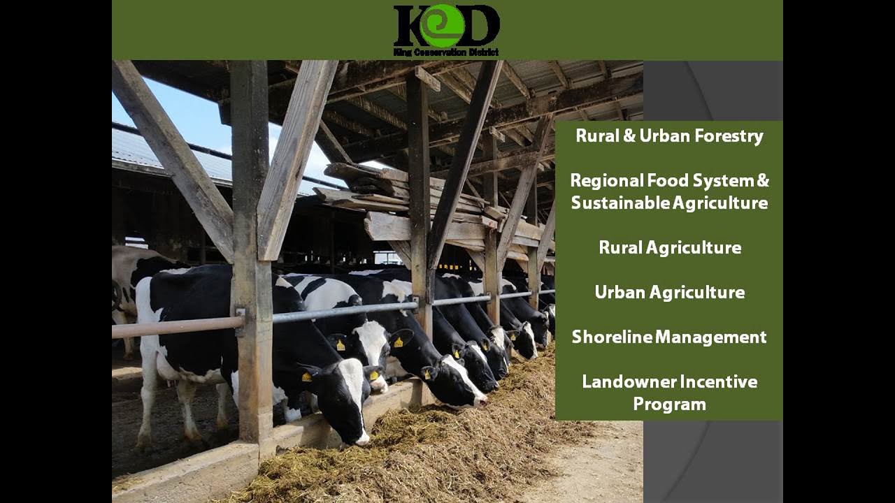 Local Issues and Hot Topics