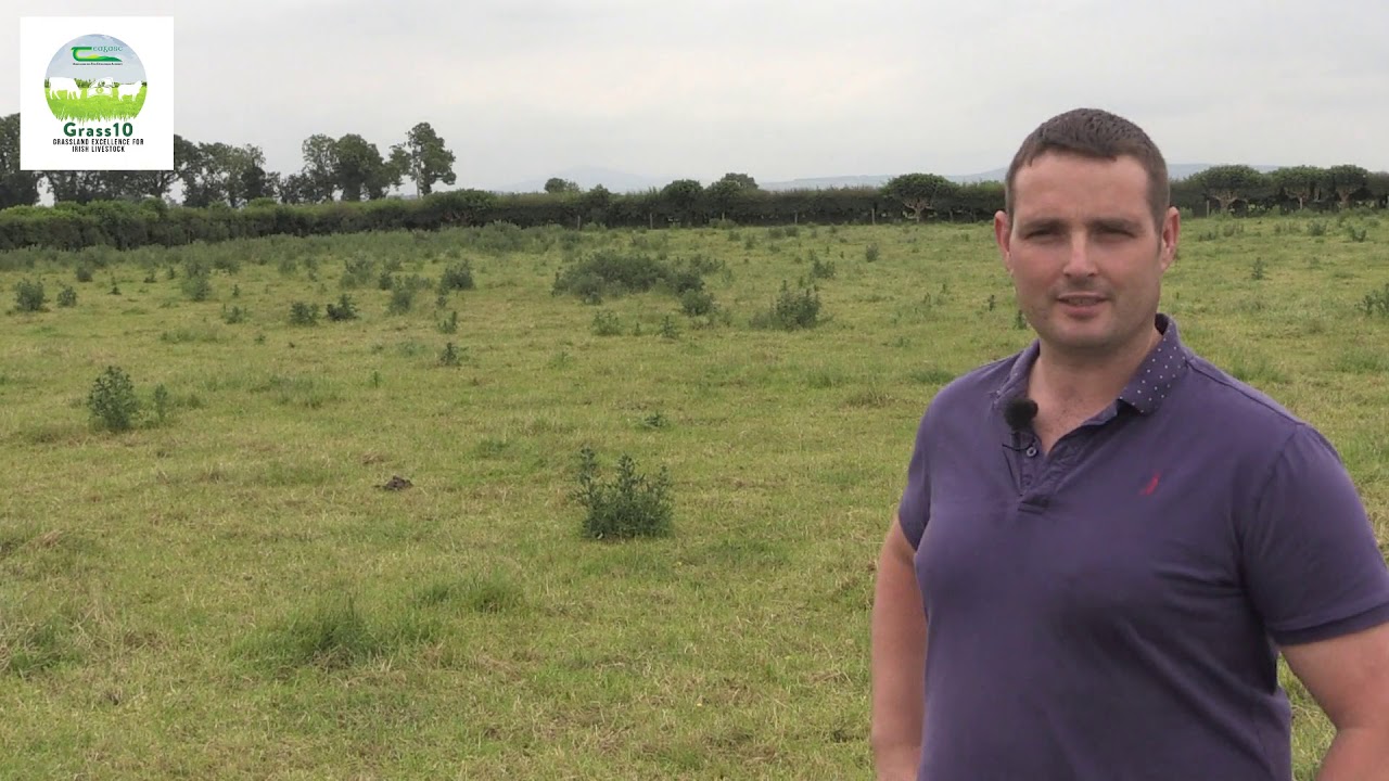 Eddie Gavin - Reseeding