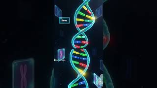 DNA replication is the process where cells make an exact copy of DNA b4 cell division. #Biology