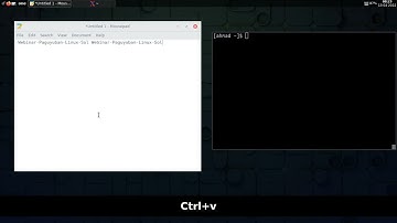 Demo : Copy paste pada xterm terminal  / Copy paste on xterm terminal