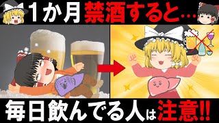 【ゆっくり解説】1か月の禁酒で身体はどう変化する？すぐに変化がある禁酒の効果