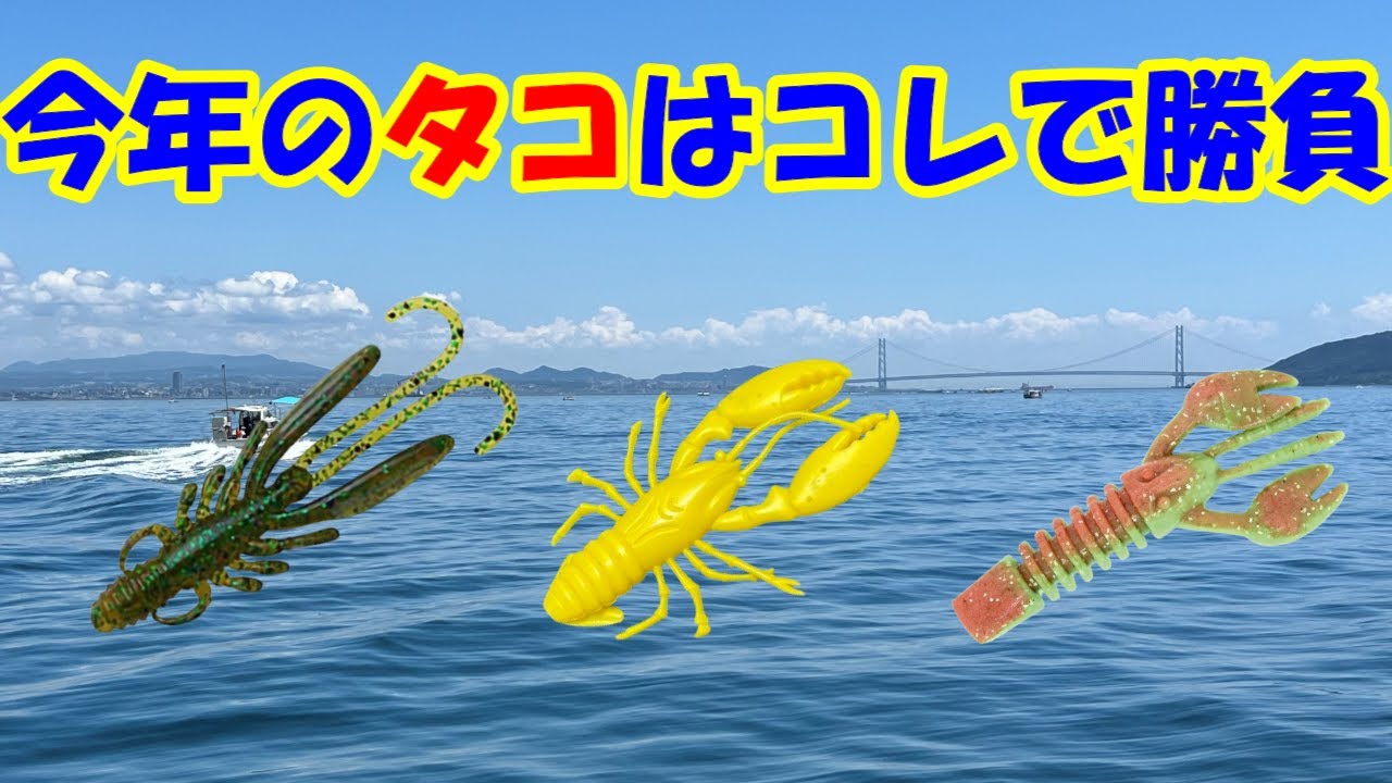 初心者】 蛸墨族 エギ蛸ライト175 LG ライムグリーン 🌽
