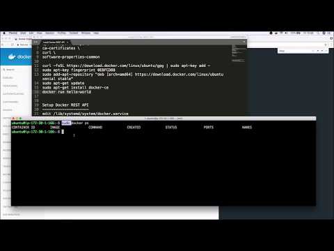 Using the Docker REST API | Docker remote REST API