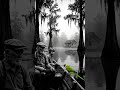 The Color That Stayed  #CinematicStillness #MonochromeDream #HiddenBeauty