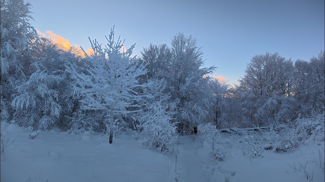 Poland - Bieszczady 04 - Zaczarowana zima w Bieszczadach