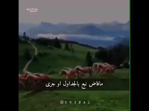 يارب صلي على النبي واله