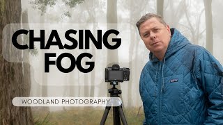 Chasing Fog | Woodland photography