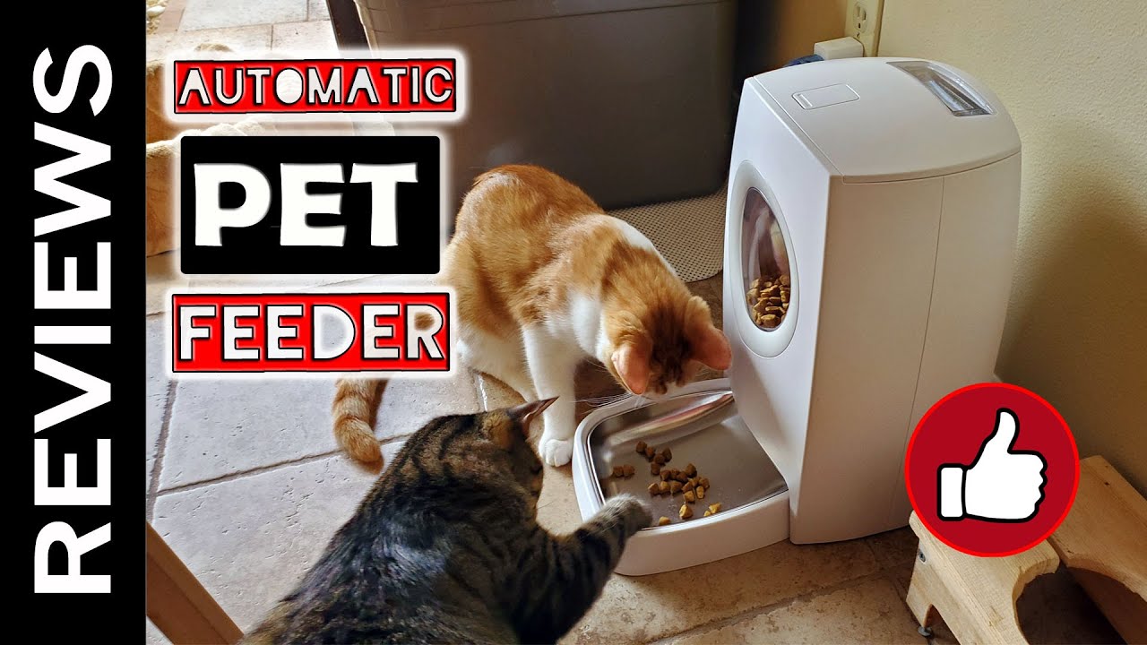 Animal Pet Feeder atelieryuwa.ciao.jp