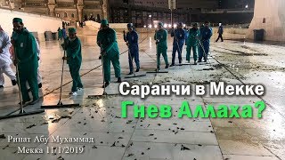 Саранчи в Мекке - гнев Аллаха? Ринат Абу Мухаммад, Мекка 11/01/2019