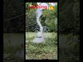 29 sodium metal blast in Desi pond water #funnyvideos #ytshorts #shortsfeed #shorts