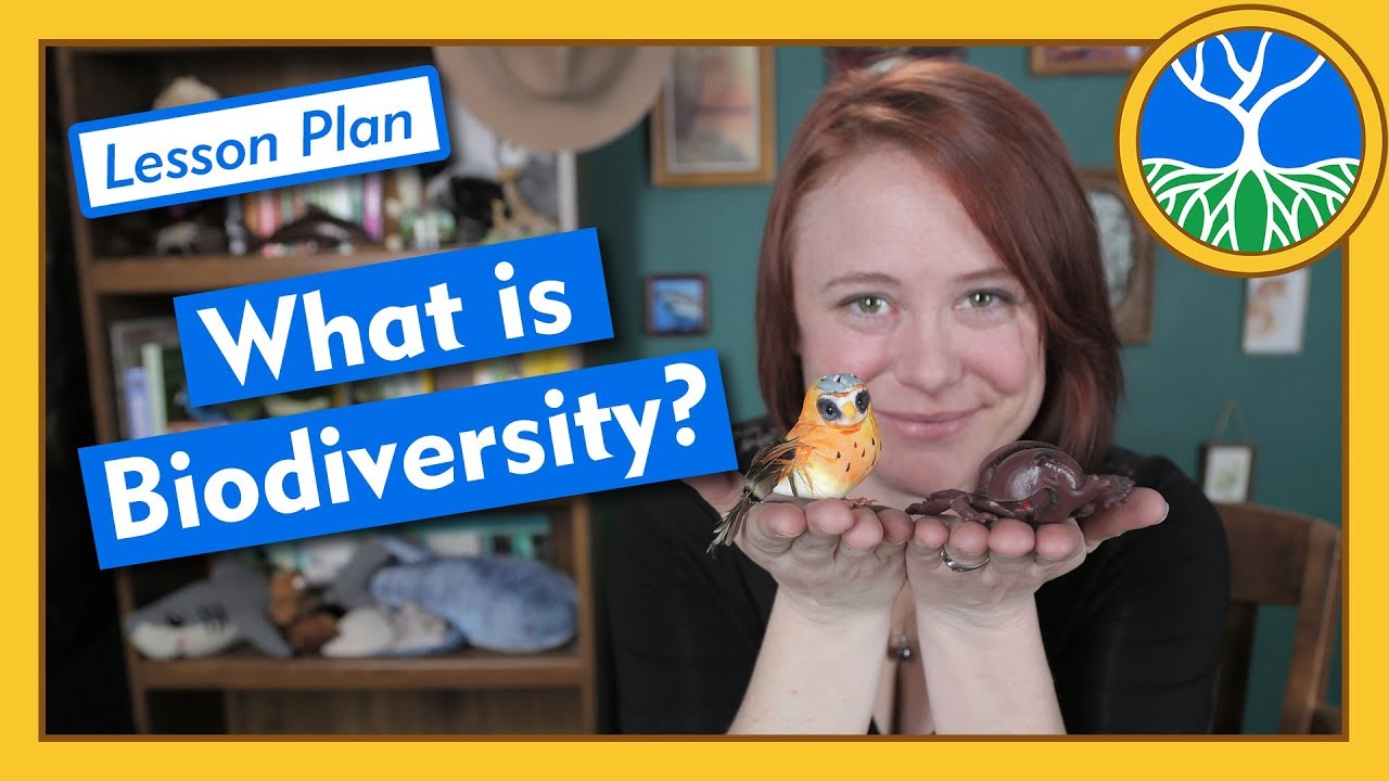 ⁣What is Biodiversity? - Lesson Plan