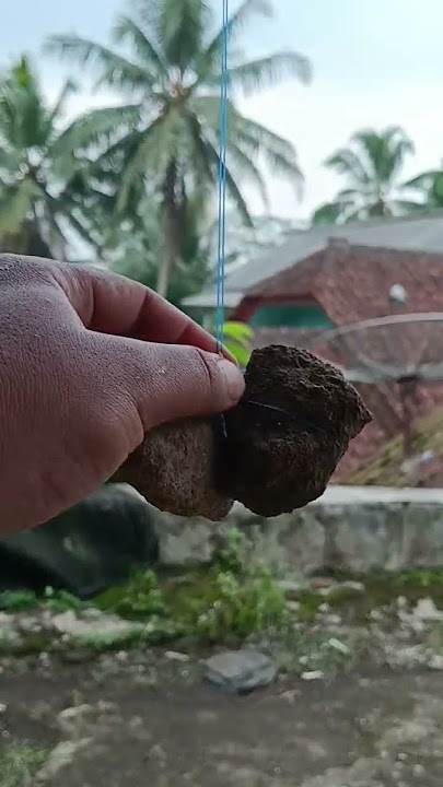 Tutorial Bikin Urek Pancing Belut Dengan Mudah Part2