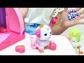 かわいいペットの子犬ちゃん お世話おもちゃ リトルライブペット キューティパピー / Cute Puppy Toys! Little Live Pets Cutie Pup Playset