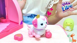 かわいいペットの子犬ちゃん お世話おもちゃ リトルライブペット キューティパピー / Cute Puppy Toys! Little Live Pets Cutie Pup Playset