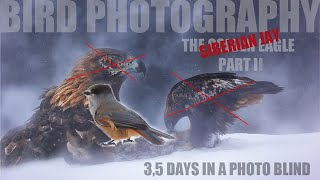 BIRD Photography // THE GOLDEN EAGLE // 3,5 DAYS in a PHOTO BLIND - PART II by Alfred Lucas 902 views 2 years ago 8 minutes, 9 seconds
