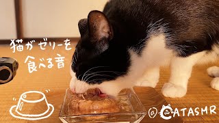 【ASMR/Eating sound】Eat jelly for cats#81