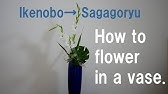 生け花 ３つのポイントで自由花も簡単 基本 Ikebana Let Ikebana Be Free In 3 Steps Youtube