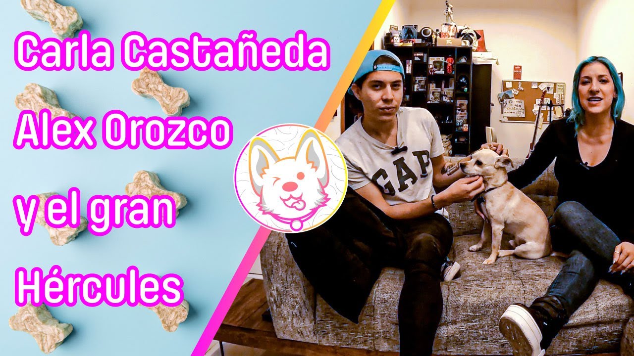¡Mis vecinos me amenazaron por los ladridos de mi perro! ft Hércules, Carla Castañeda y Alex Orozco