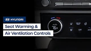 Seat Warming And Air Ventilation Controls Hyundai