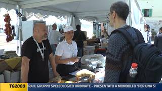 TG2000 23 maggio 2026