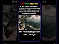 Did you know ? #historyfacts #Shorts #YouTubeShorts #History #UnknownFacts #QuickFacts