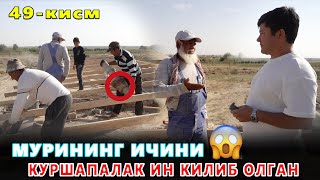картинка: КАРОВСИЗ КОЛГАН ОИЛА 49-КИСМ БАРЧАМИЗ ТОМДАН  ТУШИБ КЕТАРДИК!