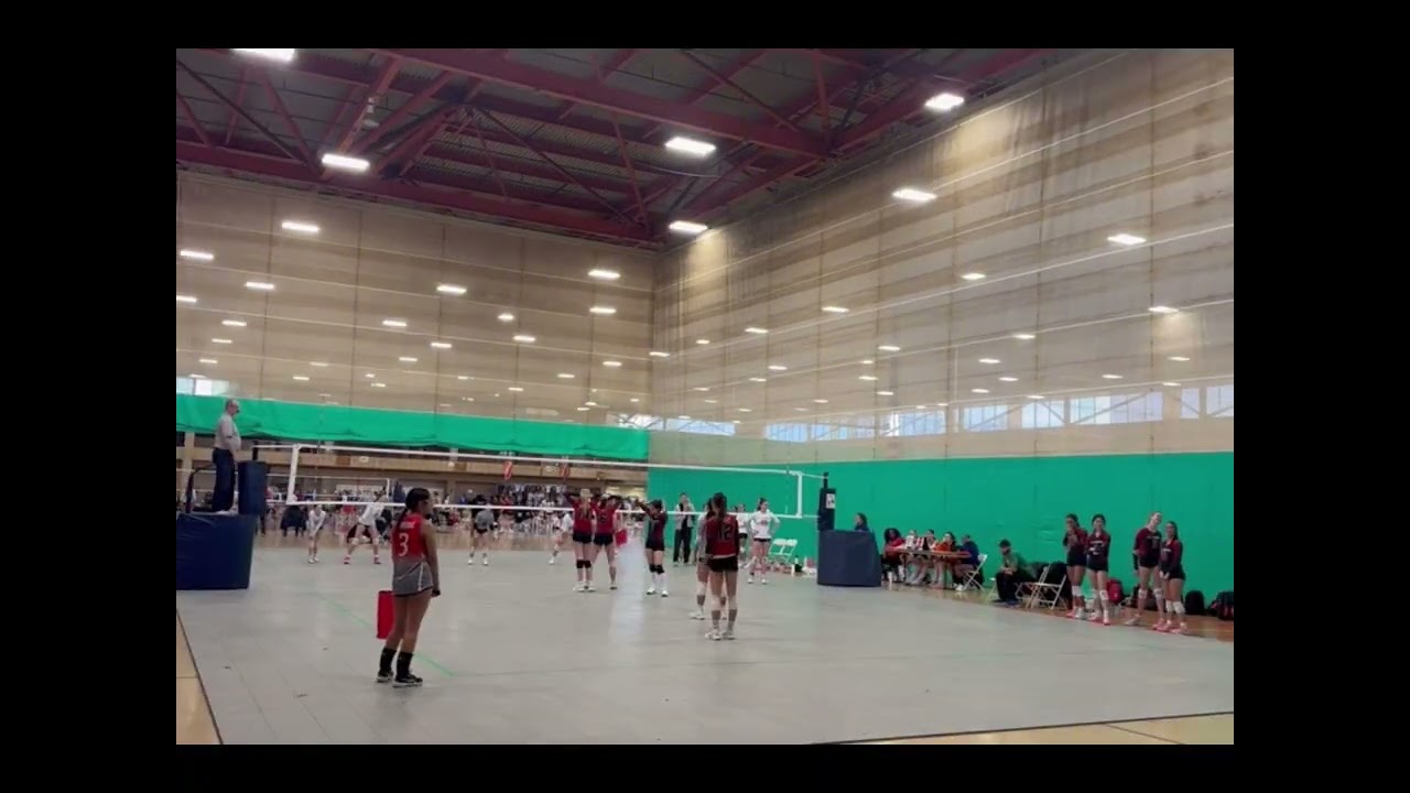 Reindeer Games Highlights Allegro 16 Red #4 Setter