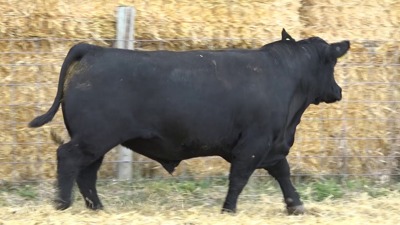 camera iphone 8 plus apk LOT 20