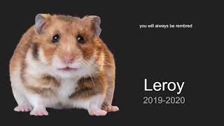 RIP MY HAMSTER LEROY *SAD*