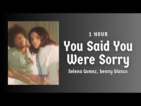 Selena Gomez Benny Blanco You Said You Were Sorry Lyric Video 1 Hour Loop