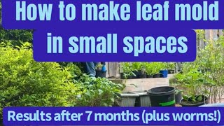 How to make leaf mold in small spaces ~ Results after 7 months (plus worms!)