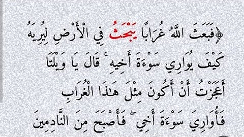 سورة المائدة(٣١) [ فبعث الله غرابا يبحث ] رسائل الله لك كثيرة فتعلم قراءتها.