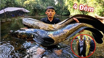 RỪNG THIÊN CAMPUCHIA | Và Loài CÁ SĂN Mồi Bí Ẩn 4 Đêm Ngủ Rừng Săn Cá Suối Mùa Khô !