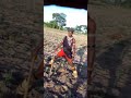 Lifa Nghinda Lifa Nghinda