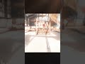 #callofdutymobileclips #gaming#callofduty #mobile