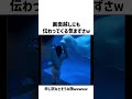 こんなはずじゃなかった
