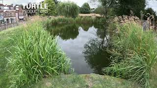 Chalfont St Giles Village Pond Restoration - Project Update