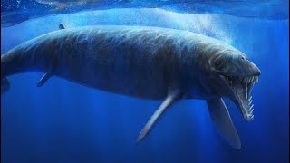 Basilosaurus Sounds