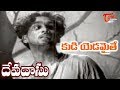 ANR Old Songs| ANR Devadasu Movie | Kudi Yadamaithe Song | ANR | Savitri - OldSongsTelugu