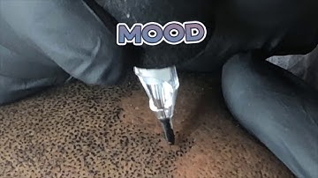 Scalp Allure by Daniel Yerenburg SMP!