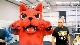 Download Festival's Download Dog trains with stars of WWE NXT | Ticketmaster UK