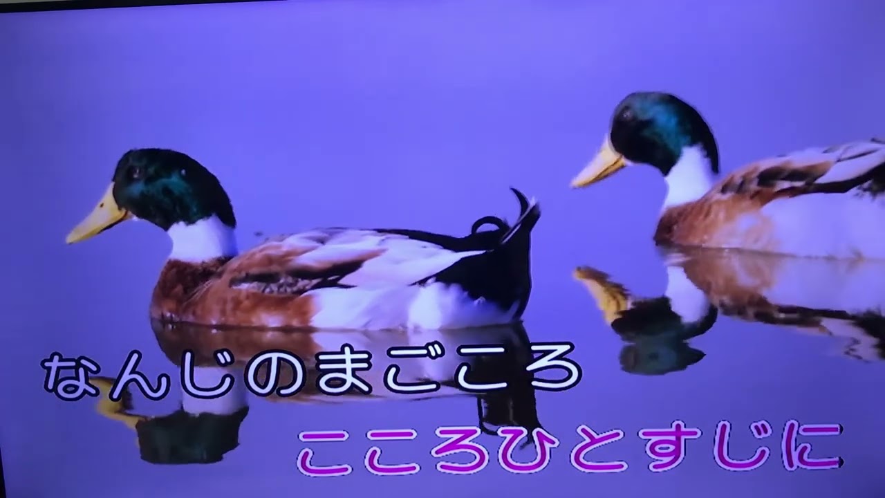 （250）男性の本領 ：游碧玉練習2023.8.7