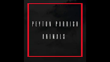 Maroon 5 - Animals (Peyton Parrish Cover)