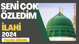 Seni Çok Özledim Talha Sümer