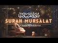 Surah mursalat lofi themed  soft calming quran recitation  lofiquran lofiquran