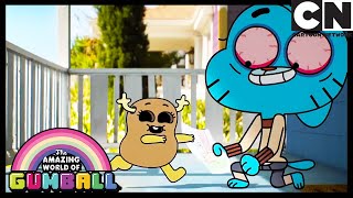 El Desastre | El Increíble Mundo de Gumball en Español Latino | Cartoon Network