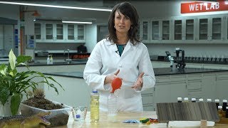 Utah Energy Education: Natural Gas and Density